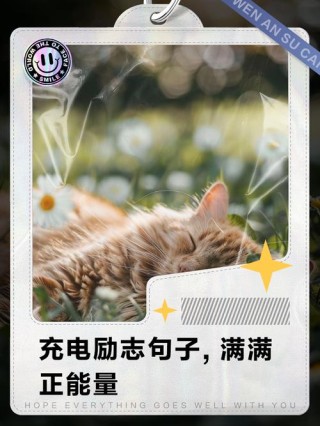 从迷茫到启发，每天一句话给自己充电！