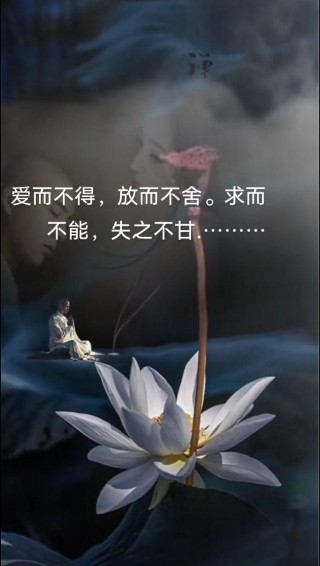 深爱过一个人放不下的句子，看了好心酸！