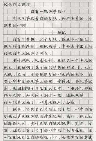 励志文章：为了梦想而飘飞