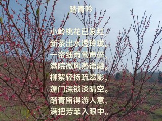 10首最美春风诗词，秀丽江山，田园如画，送你一场春暖花开