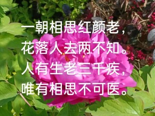 红颜少有，知己难求