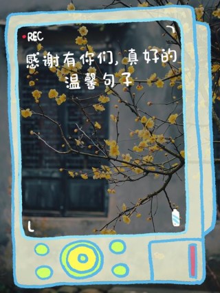 有你们真好的唯美句子：与你们相处快乐流淌在每一个细微的瞬间中