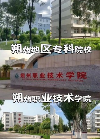朔州职业技术学院在宁夏录取分数线2025年是多少（2025~2023近三年分数位次）