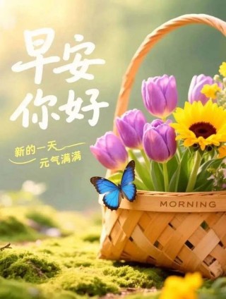 努力奋斗的早安句子，适合发朋友圈的早安心语正能量