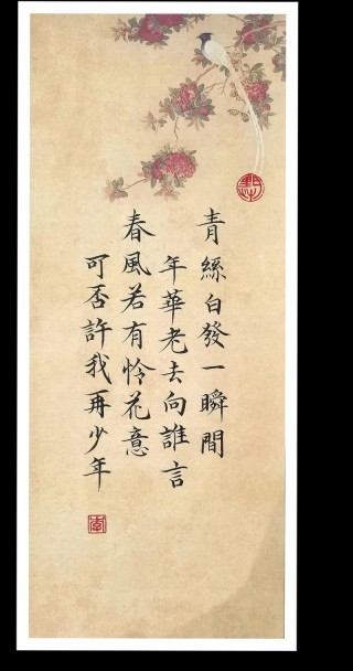 以身许国岂邀名