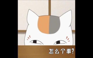 夏目友人帐：猫咪老师吐槽夏目不懂朋友的珍贵，总是一个人扛麻烦