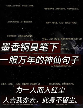 墨香铜臭《魔道祖师》中的经典古风句子