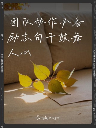 团队凝聚力励志语录(必备63句)