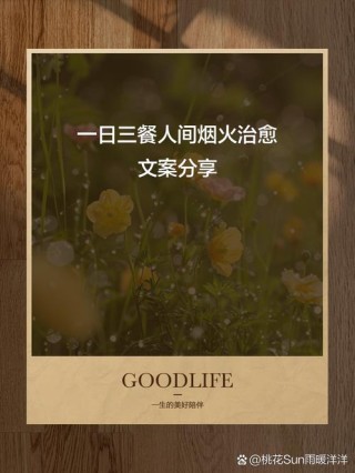 人间温暖，不过一日三餐～