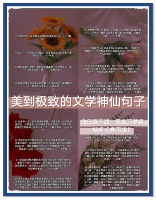 朋友圈点赞最多的句子，唯美到哭，越看越陶醉！（值得珍藏）
