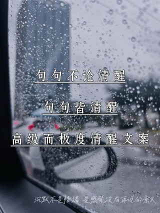 文案 | 36句“人间清醒”的高级感句子