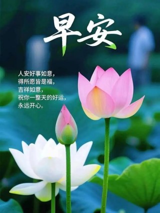 愿你在以后的日子里，永远开开心心，一帆风顺，早安