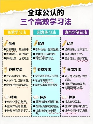 怎样才能提高孩子的学习效率呢？