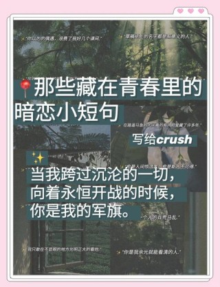 文案句子：离开校园，温柔岁月
