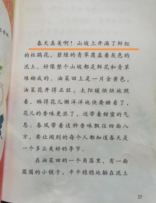 空中小昆虫，被我线啦着。只要风儿吹，不要雨儿飘。 （打一物）