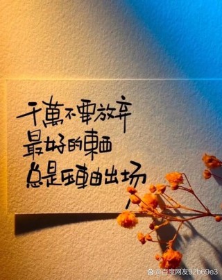 经典励志人生感悟，经典励志人生感悟，追寻梦想，勇往直前。