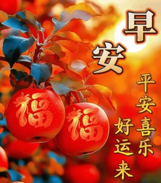2024最新早上好问候祝福语大全，吉祥如意，健康快乐！