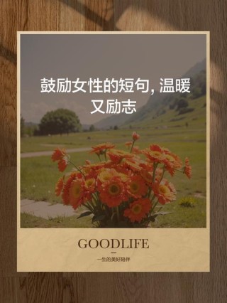 女人励志句子 人生当自勉 学习需坚持 坚持不懈 等待那一场破茧的美丽