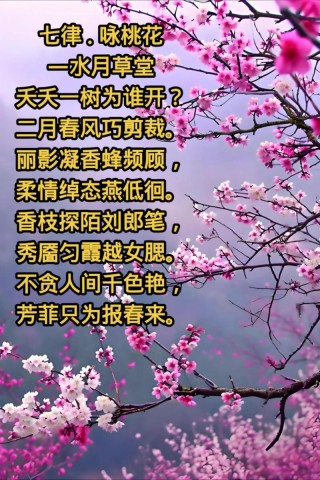 赏泉城公园桃花，赏桃花相关的唯美诗句