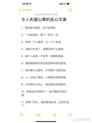 30句心寒心碎失望的伤感句子