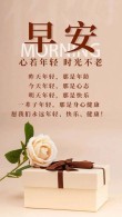 早上好！唯美舒心励志的句子，一句比一句戳心