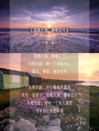 面向大海，不问春暖花开