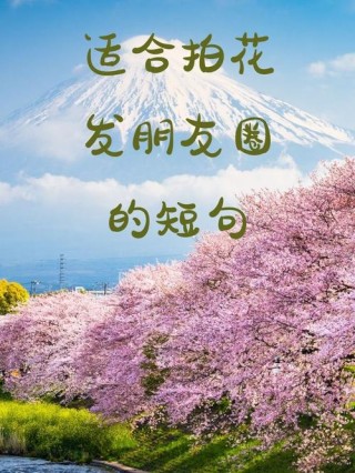 24句记录花朵瞬间的句子，让你的摄影更具艺术感