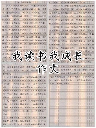 开卷暗香流——记录我与书本共度的岁月