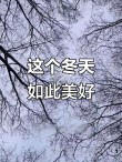 ● 轻轻的，冬天来了