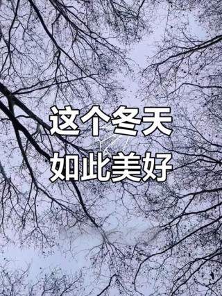 ● 轻轻的，冬天来了