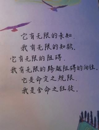 句透人生经典语录，人生箴言，经典语录洞悉生活真谛