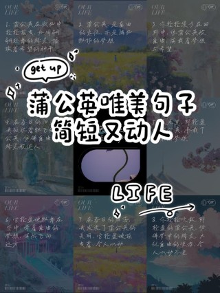 简短，符合您的要求。