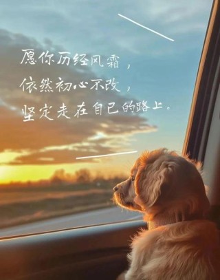 2020写给自己的优质句子，阳光温暖，适合发朋友圈