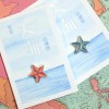 饰品：来自大海的礼物