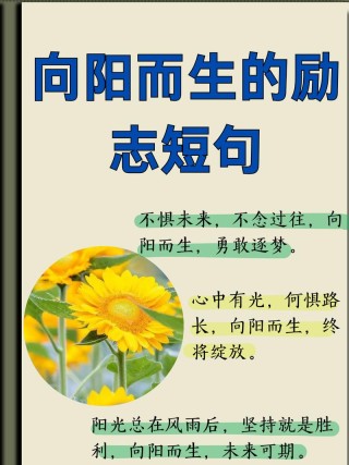 接地气的励志句子，很燃很阳光，激发你的斗志