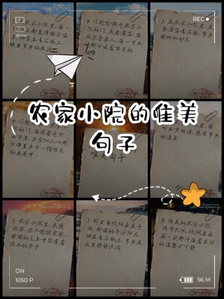 自家小院惬意的句子：小院静谧宜人，远离尘嚣的惬意天地