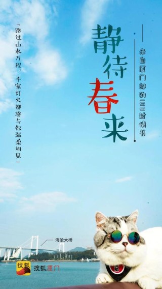 春暖花开，奔你而来