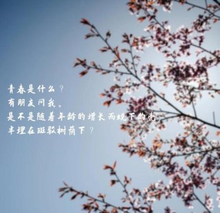 青春自信阳光的句子，句句精彩