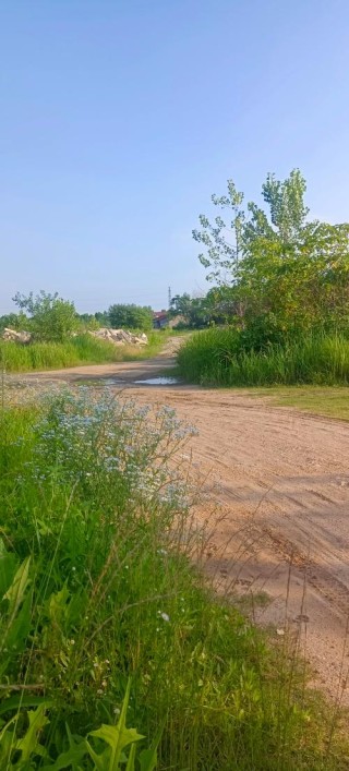 六月的小路