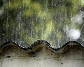 久违的雨