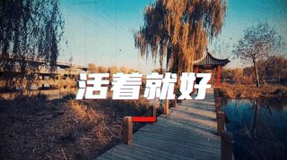 活着就好