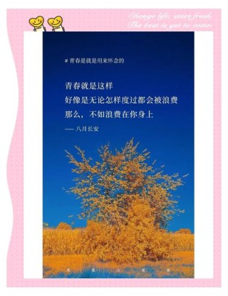 充满青春阳光的正能量句子