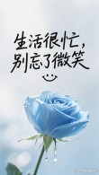 好好生活，好好工作：让心灵归零，微笑前行