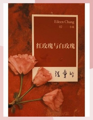 读《红玫瑰与白玫瑰》悟玫瑰情缘