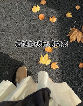 文案 | 每一句都像是在说自己的句子