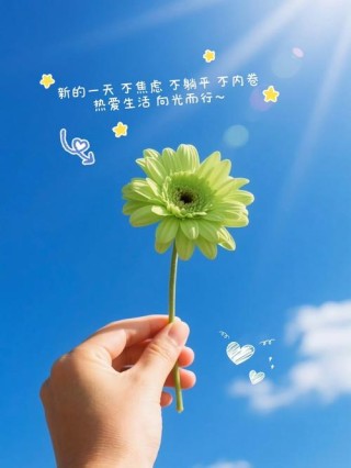 5月，携一缕暖阳，微笑向前