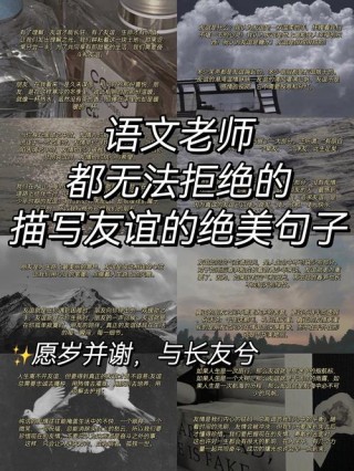 考场作文必备的哲理美句——友爱与互助