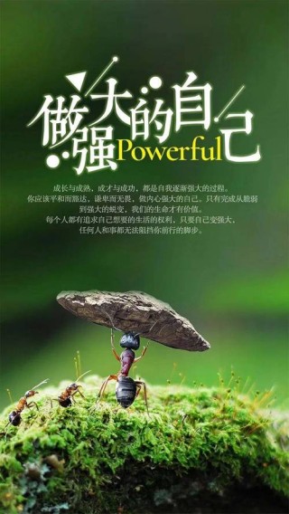 正能量的激励人的句子，句句深入人心