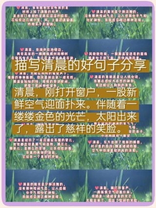 素材积累：描写清晨和傍晚的优美句子段落汇总