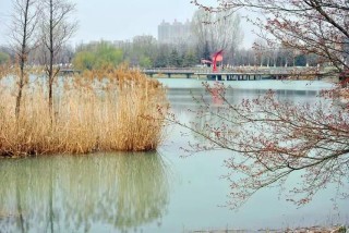 付之江流水，更与何人说 （打四字交通词）